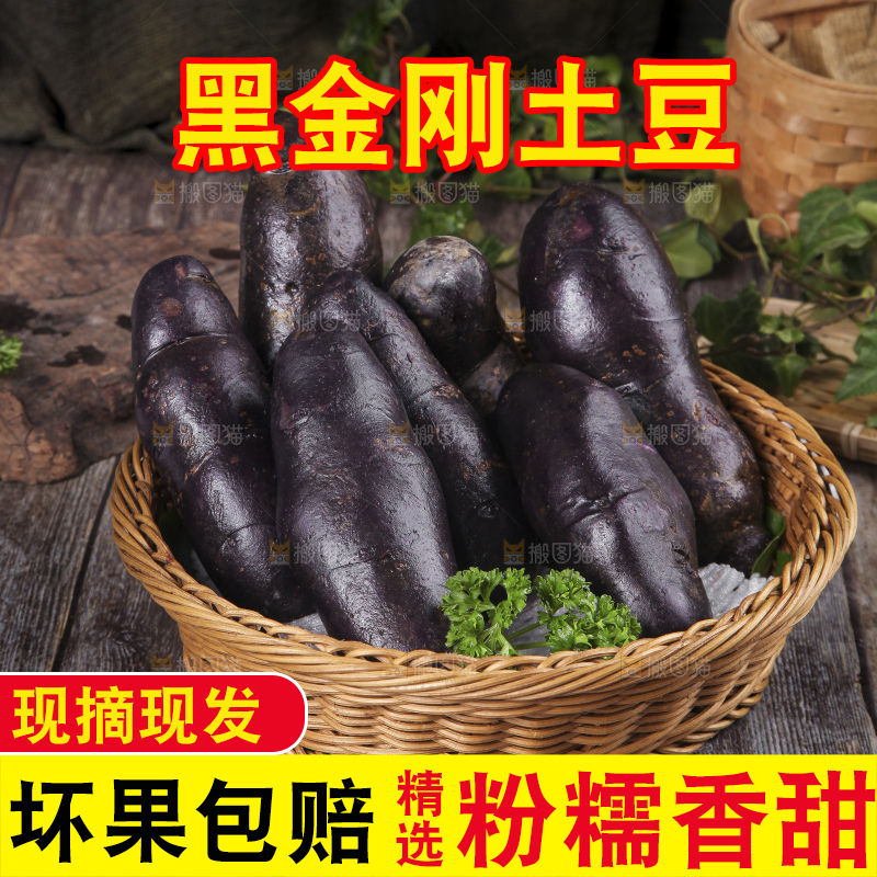 篮子里装着黑心紫皮土豆