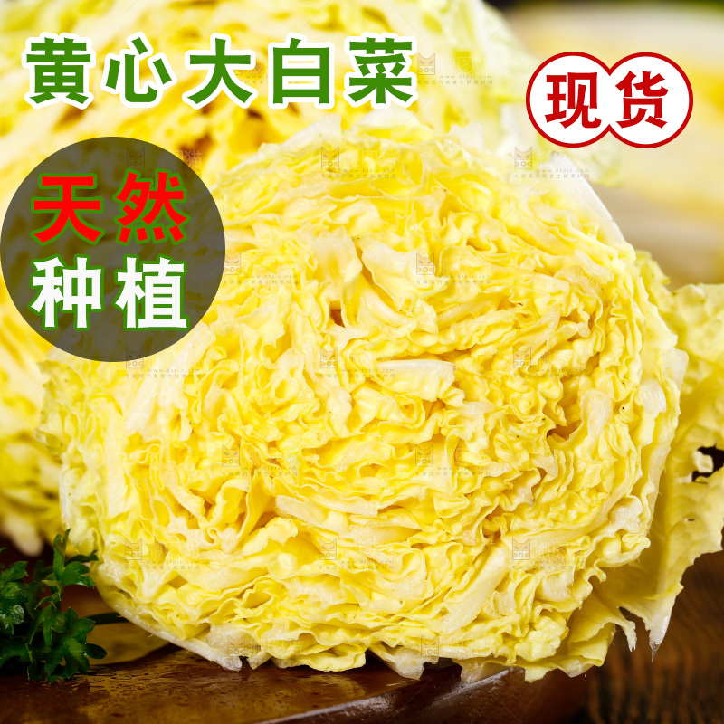 木底上的黄心大白菜