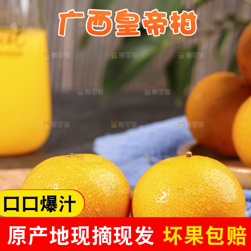 木底上的皇帝柑