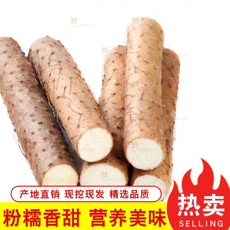 白底上摆放着山药