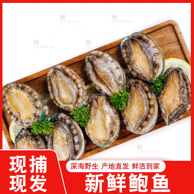 一盘鲜鲍鱼放在白底上