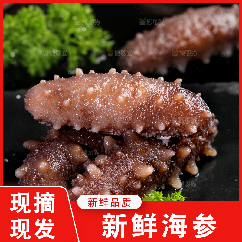 黑石板上的海参
