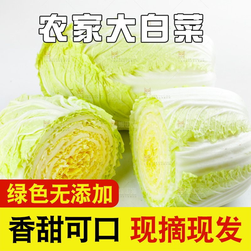 切开的黄心大白菜放在白底上