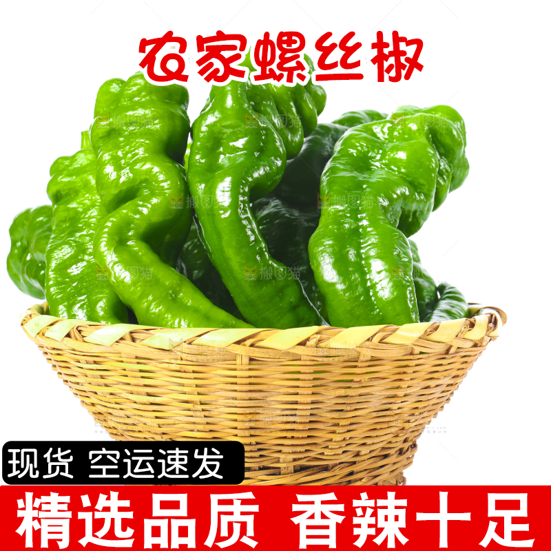 白底上放着一筐青椒