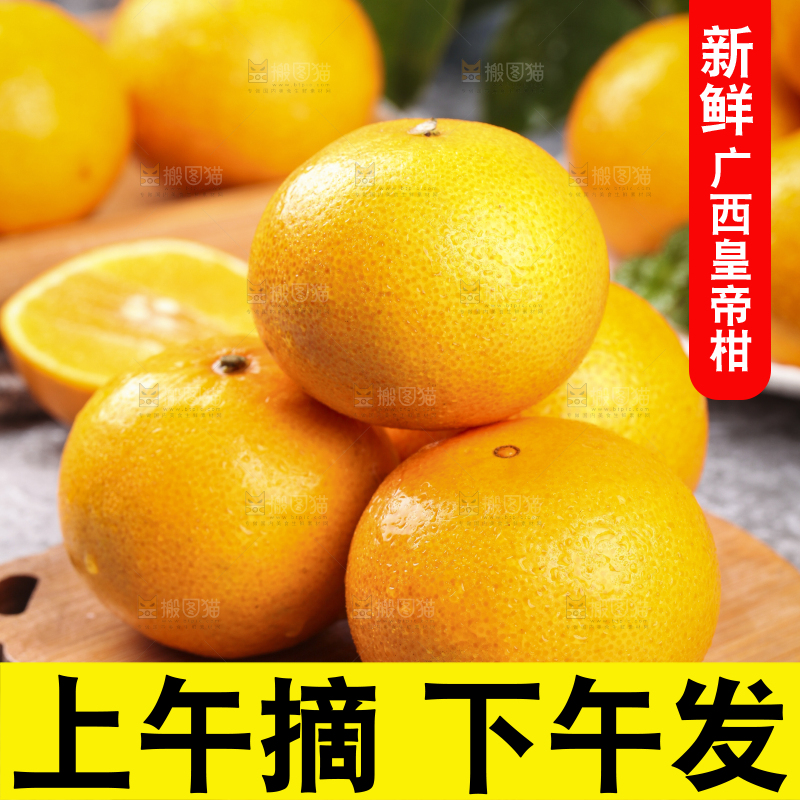 木板上的皇帝贡柑