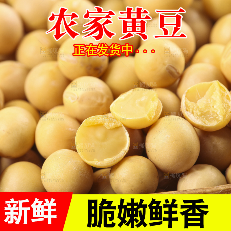碗里装着农家黄豆