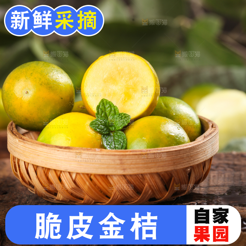 篮子里放着小金桔