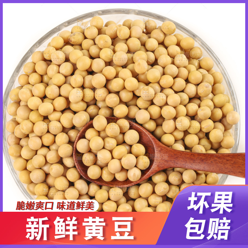 白底上放着东北黄豆