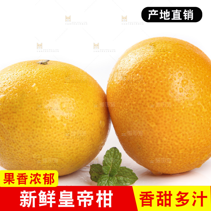 白底上的新鲜皇帝柑