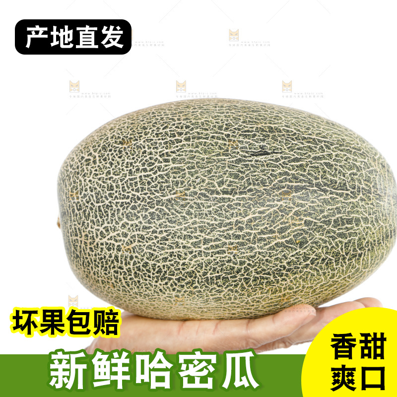 手里拿着哈蜜瓜