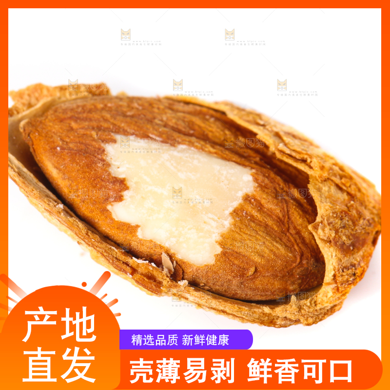 剥壳的扁桃仁放在白底上