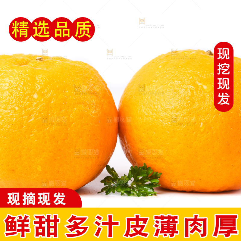 白底上放着芦柑