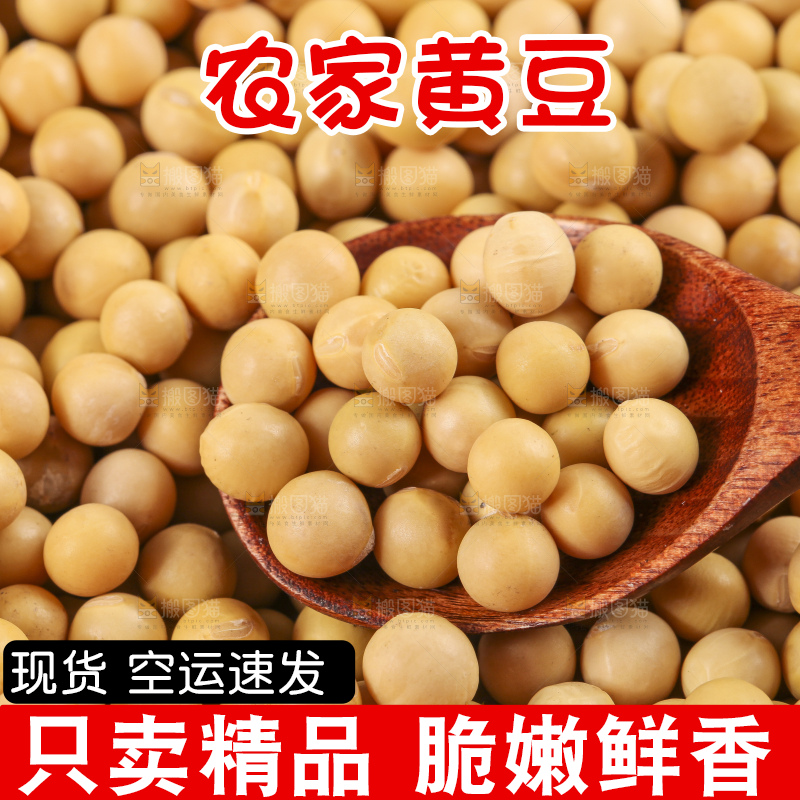 白底上放着东北黄豆
