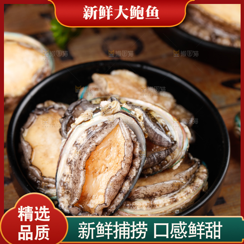 深底上的鲍鱼