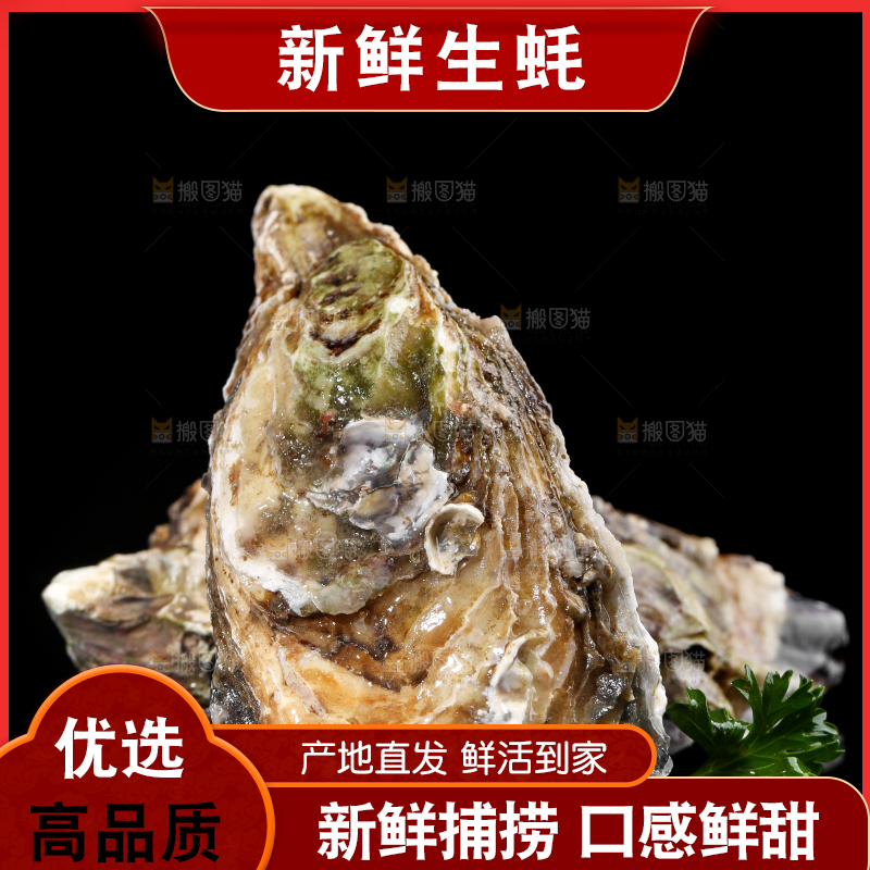 黑底上的生蚝