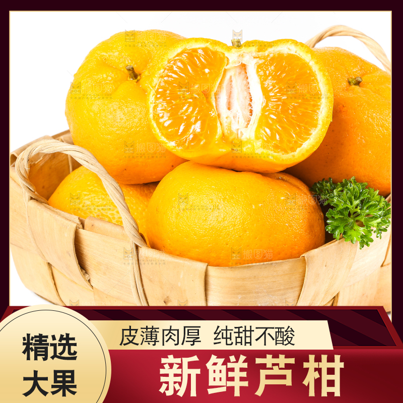 白底上放着芦柑