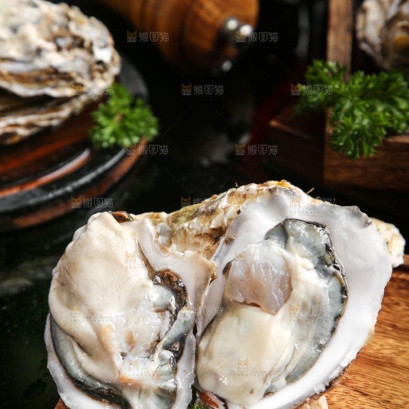 盘子里剥开的牡蛎