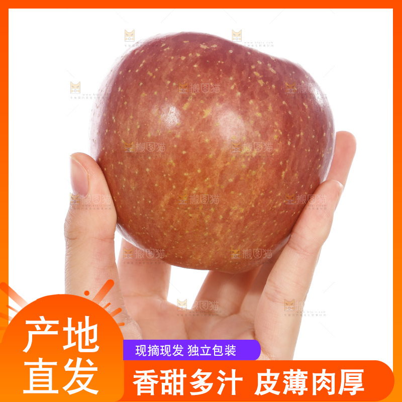 手里捧着丑苹果