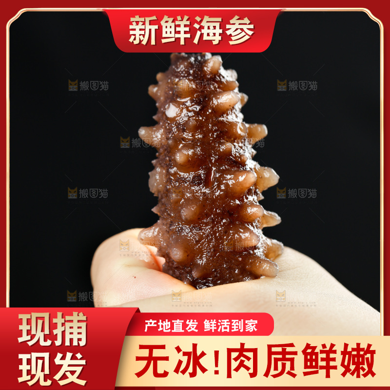 手拿海参