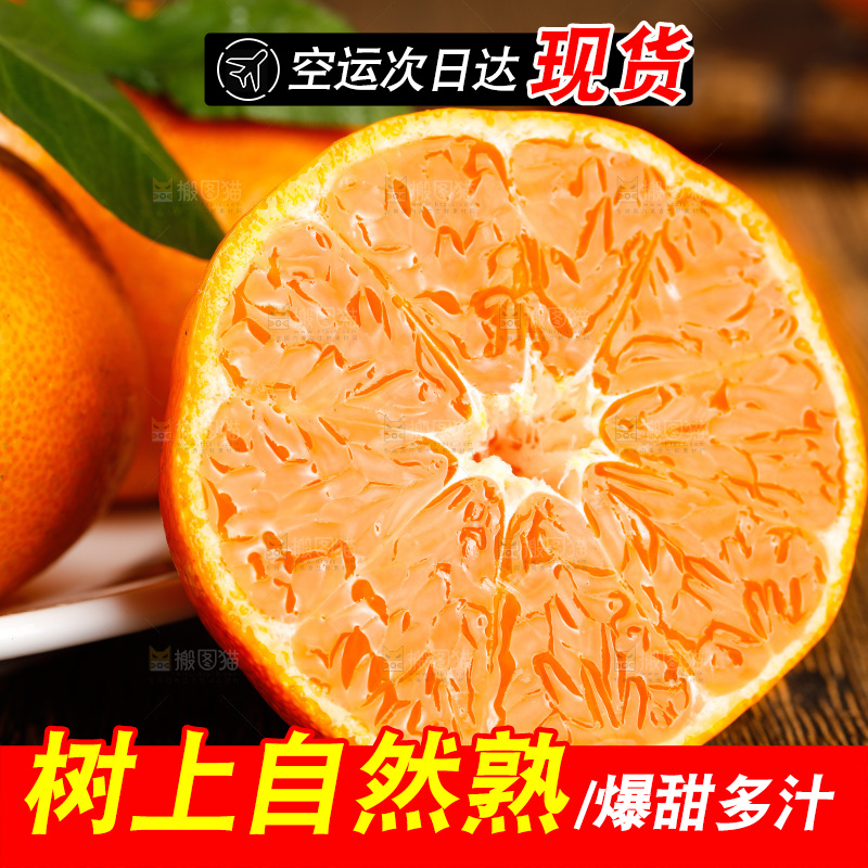 木底上摆放着蜜橘