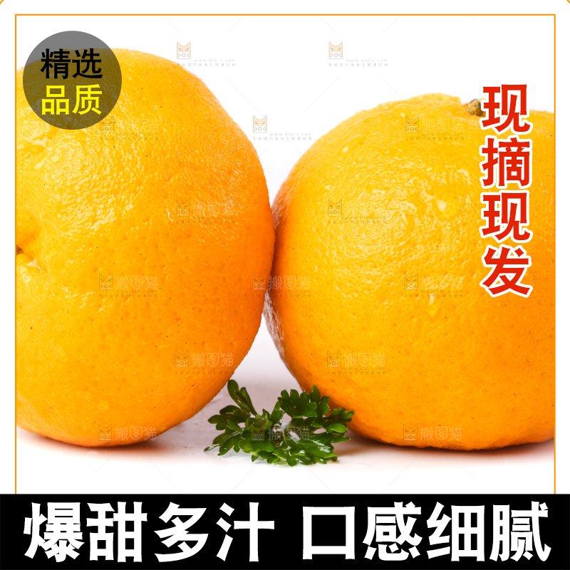 白底上放着芦柑