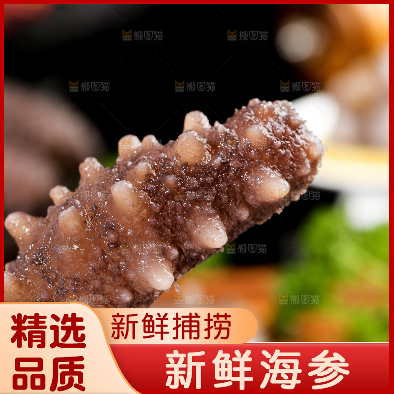 手拿海参