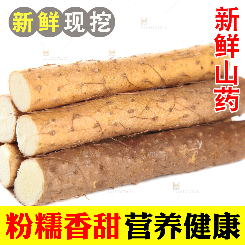 白底上摆放着山药