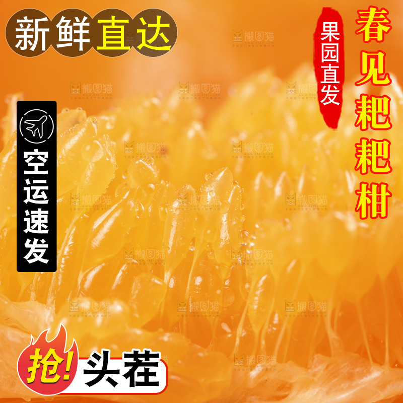 深底上放着四川春见