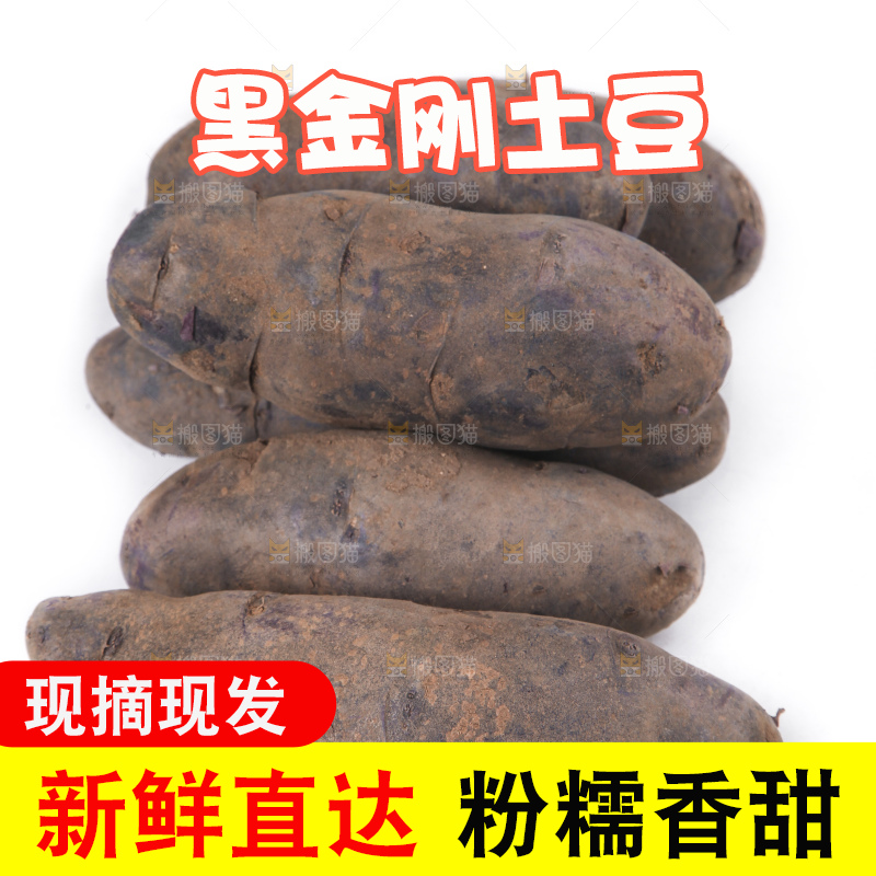 白底上放着黑美人土豆