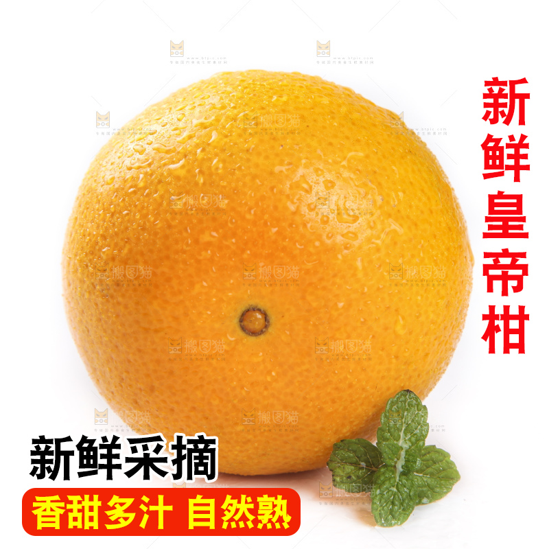 白底上的新鲜皇帝柑