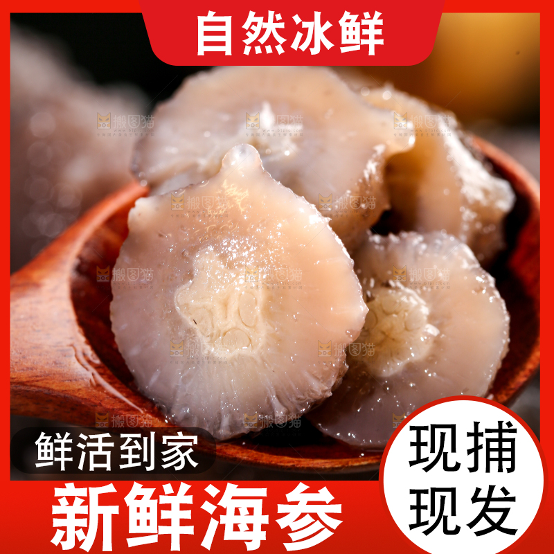 勺子里的海参