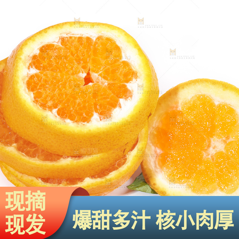 切开的四川耙耙柑放在白底上