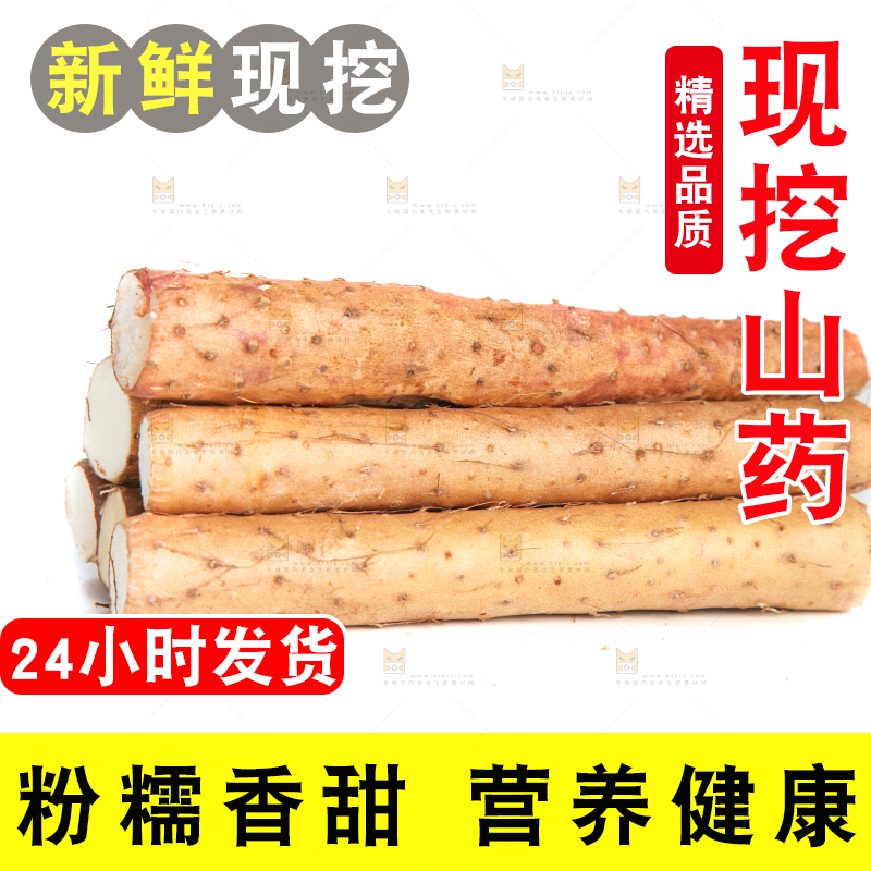 白底上摆放着山药
