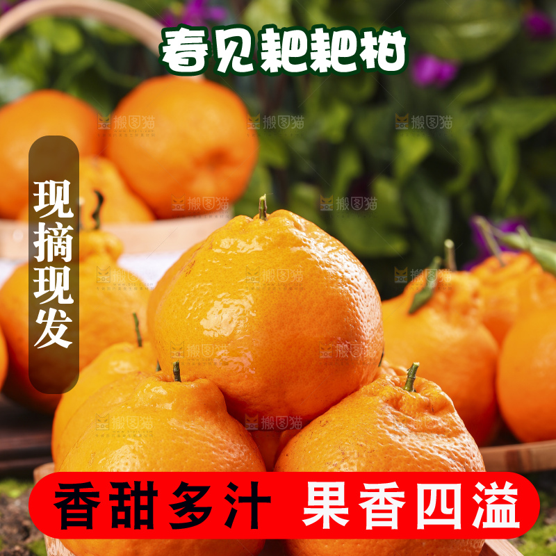 深底上放着四川春见