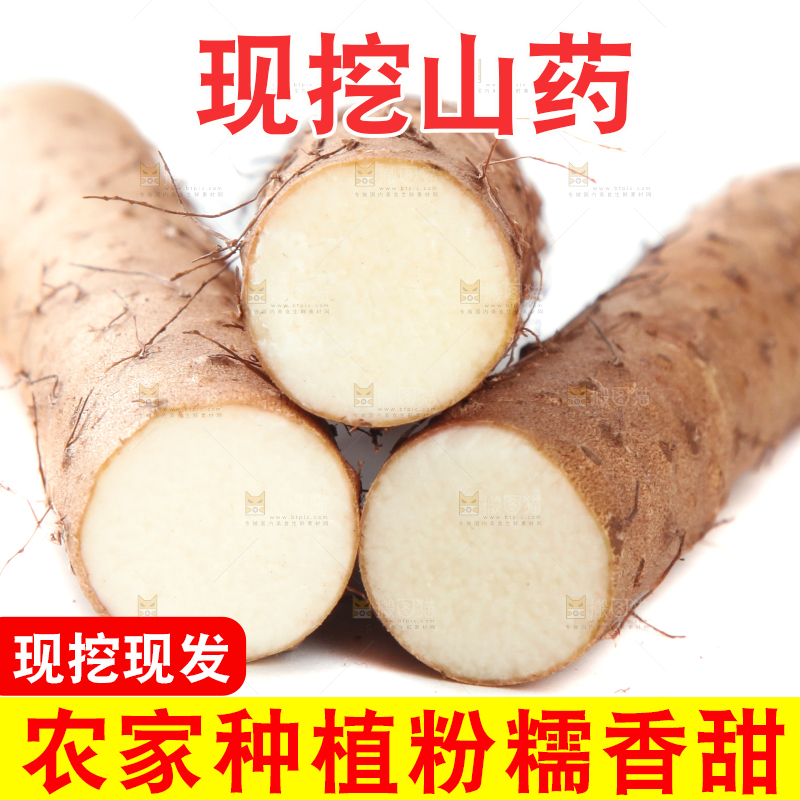 白底上摆放着山药
