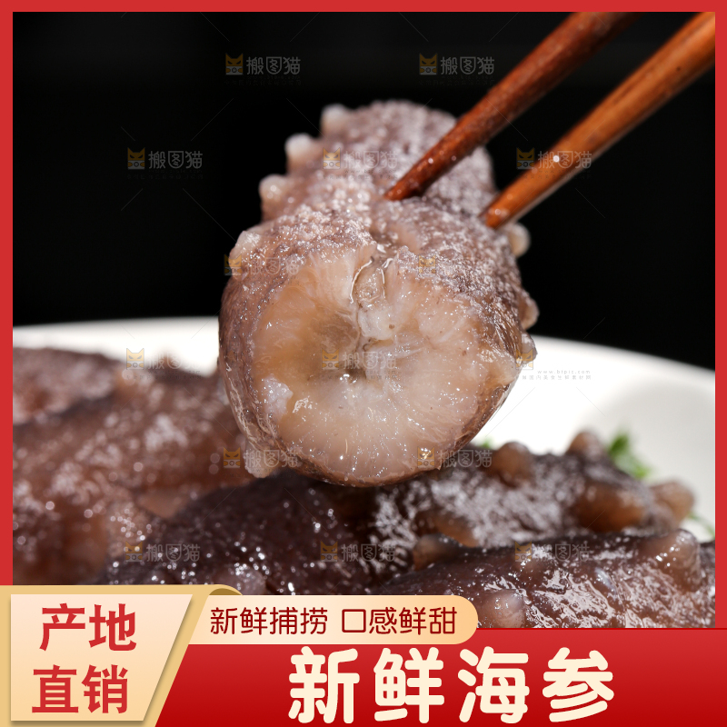 筷子夹着海参