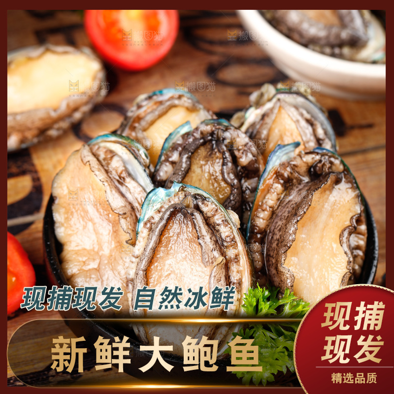 深底上放着一盘鲜鲍鱼