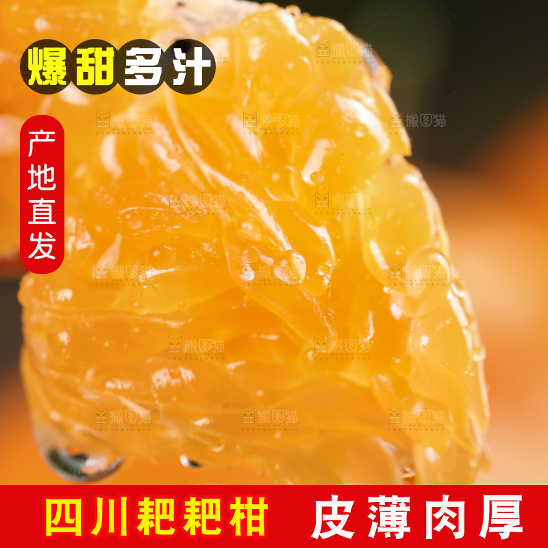 深底上放着四川春见