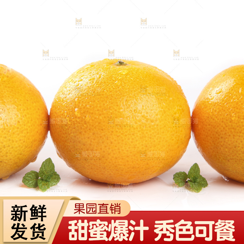 白底上的广西皇帝柑