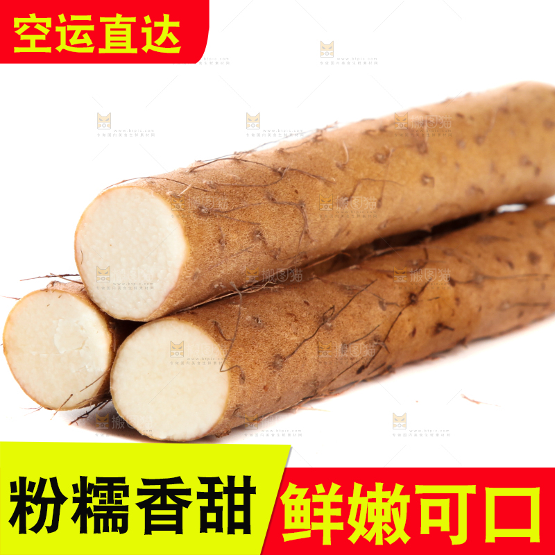 白底上摆放着山药