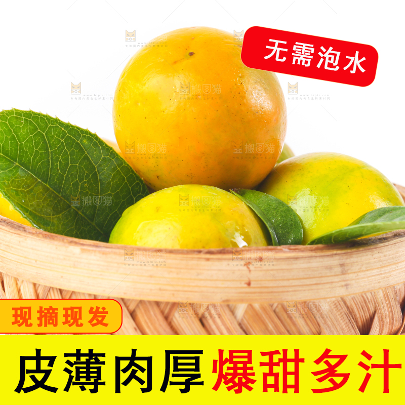 篮子里放着小金桔