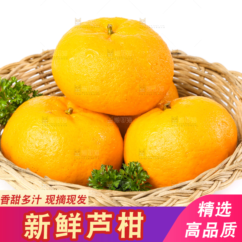 白底上放着芦柑