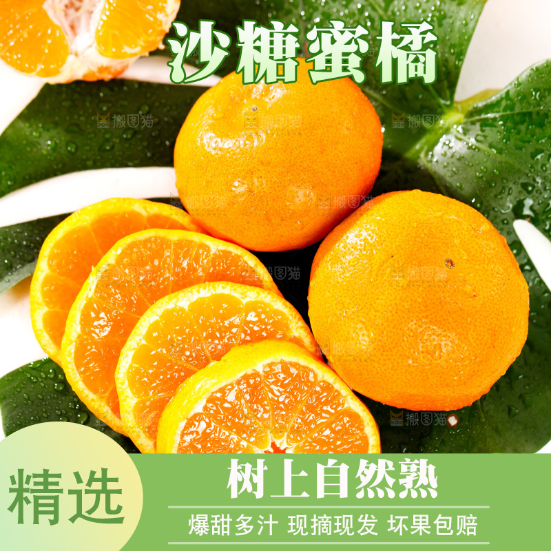 白底上摆放着蜜橘
