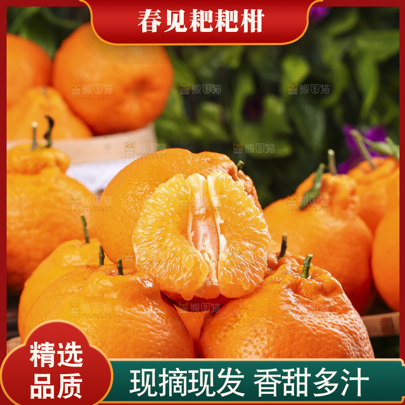 深底上放着四川春见