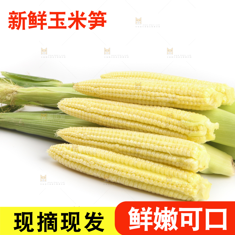 白底上的珍珠笋