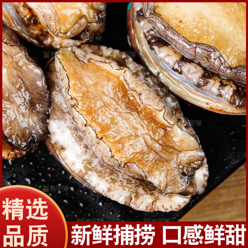 深底上放着一盘鲜鲍鱼