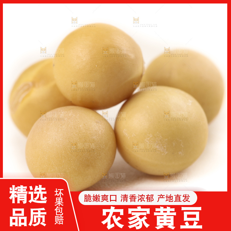 白底上的黄豆粒