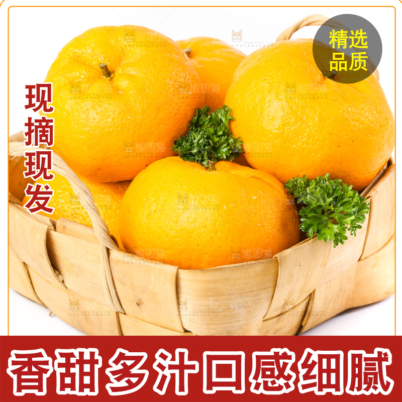 白底上放着芦柑