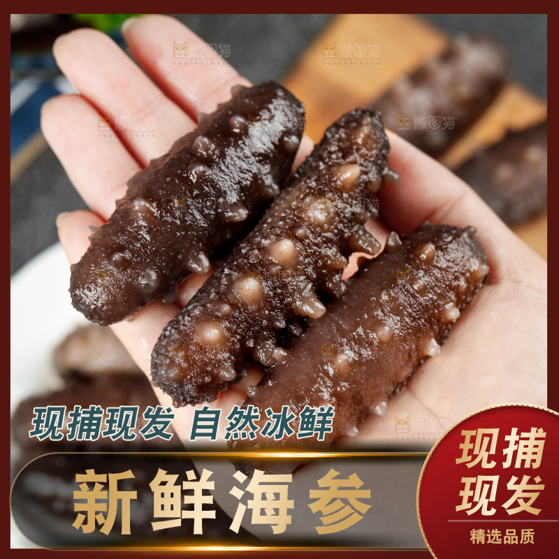 手拿刺参