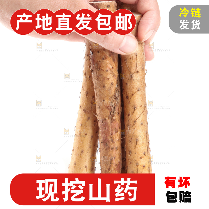 白底上摆放着山药